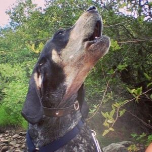 Meet your Mosher, Lyla